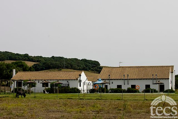 070810_Go_100.CR2
